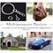 450Pcs 1" 25mm Sliver Key Chain Rings Kit, Including 150Pcs Keychain Rings with Chain and 150Pcs Jump Ring with 150Pcs Screw Eye Pins Bulk for Jewelry Findings Making (Sliver)